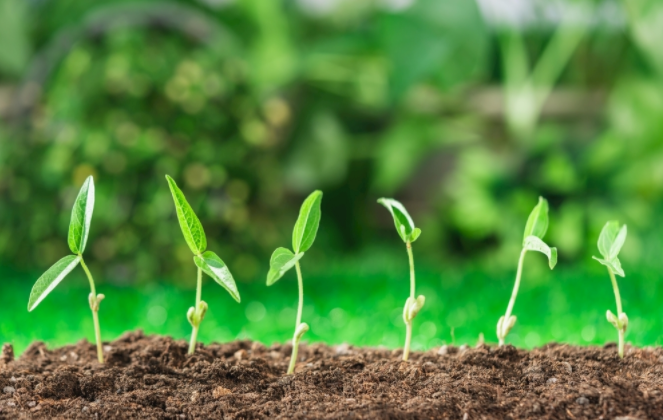 ������A���ٜy(c��)�x�����ҽ�B